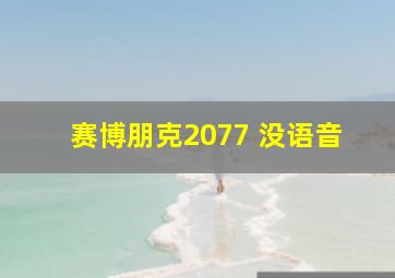 赛博朋克2077 没语音